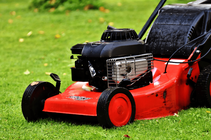 Tex-Mex Lawncare