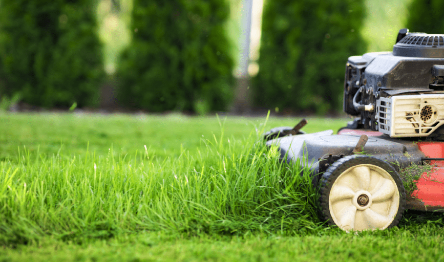 Tex-Mex Lawncare